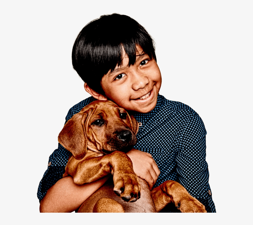 Medibank Pet Insurance, transparent png download