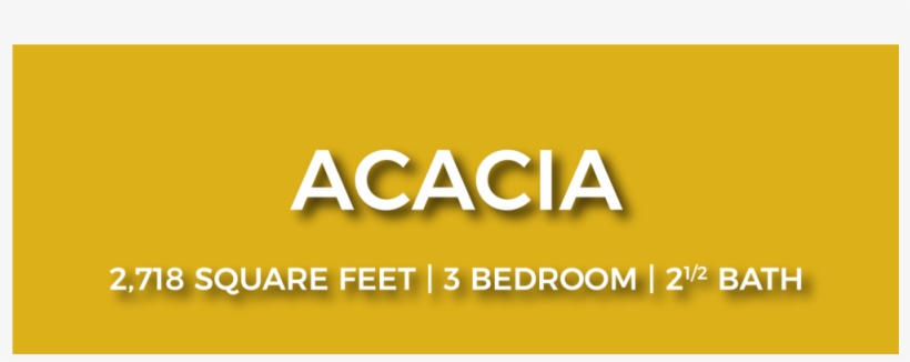 Acacia Nofp-01, transparent png download