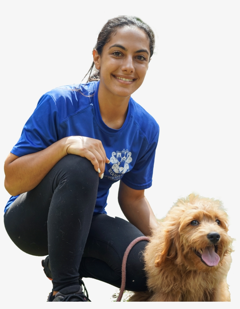 Bootcamp-trainer, transparent png download