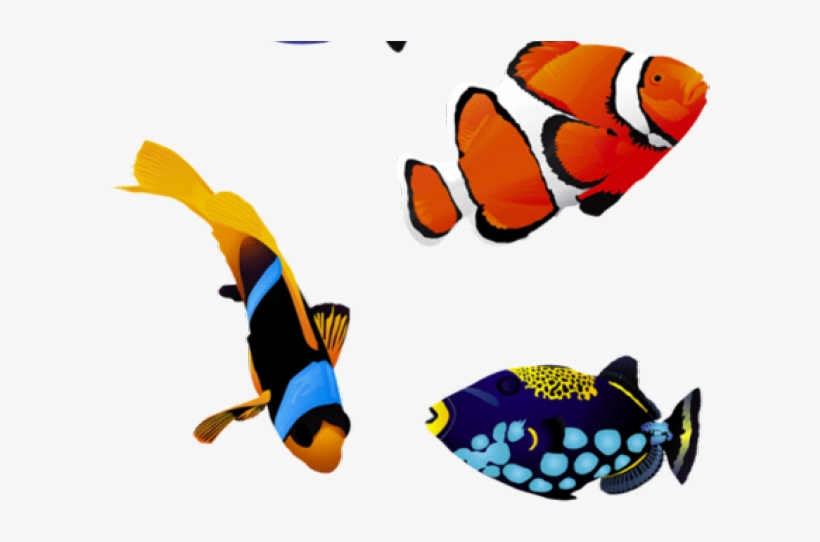 Pez Png, transparent png download