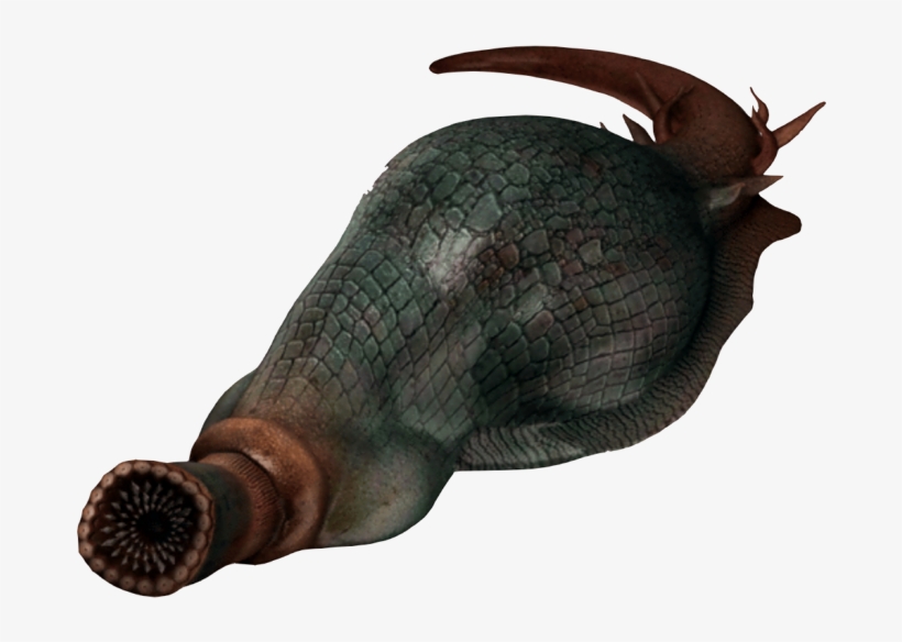 The Giant Leech, transparent png download