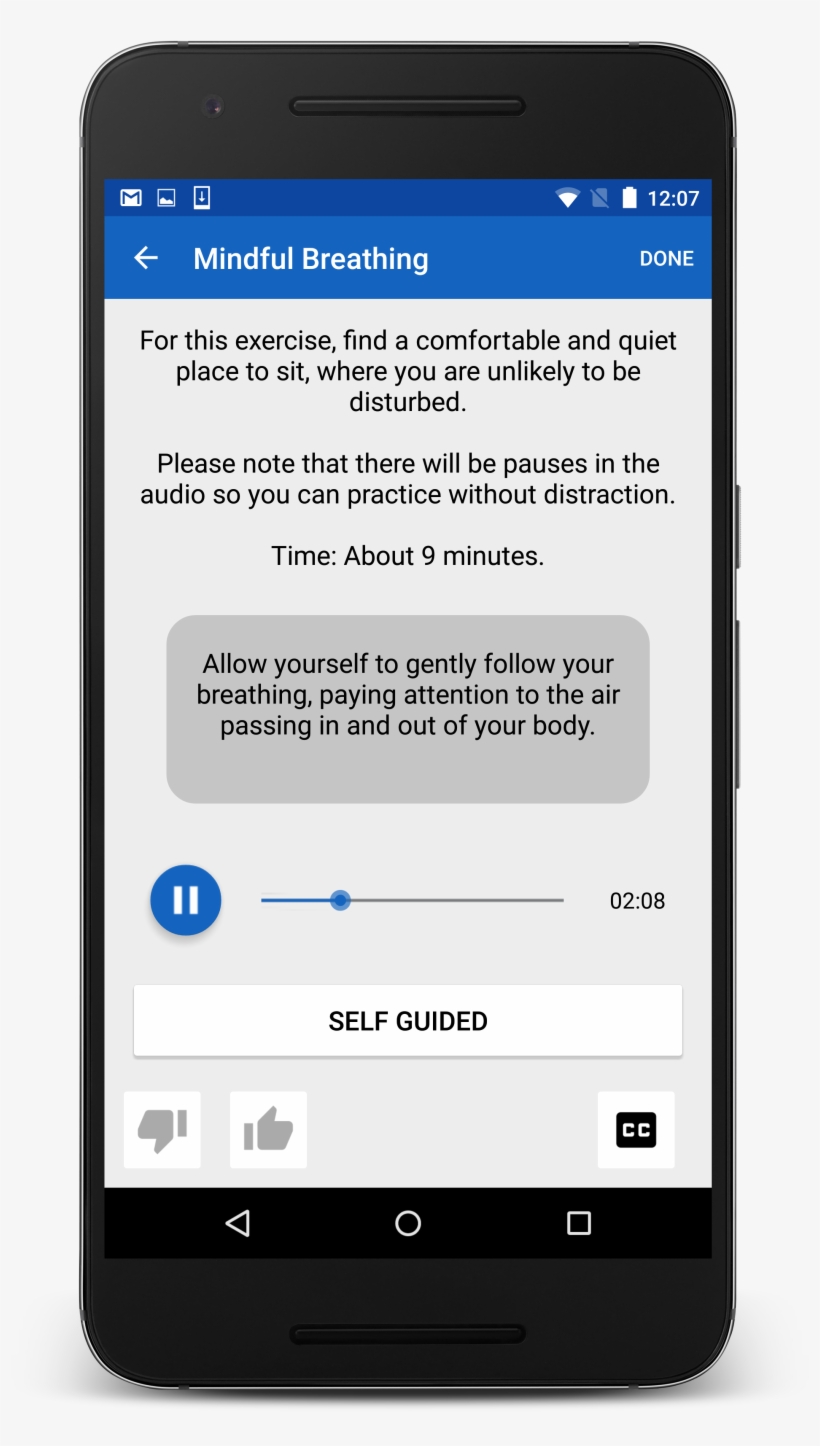 Ptsd Coach Mindfulness Screen, transparent png download