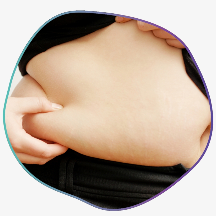 Body-fat, transparent png download
