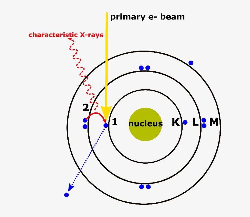 Edx Analysis With A Scanning Electron Microscope, transparent png download