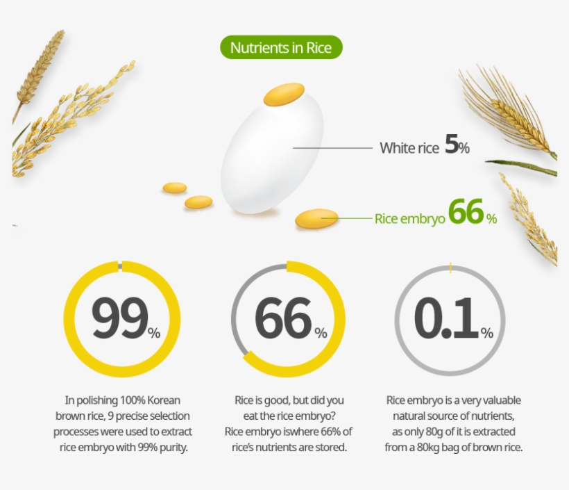 Nutrients In Rice, transparent png download