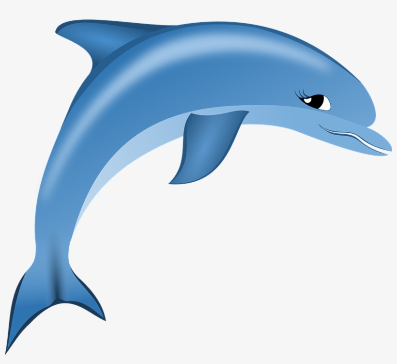 Dolphin Pictures Free, transparent png download