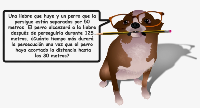 Acertijo De Matemáticas Recreativas, transparent png download