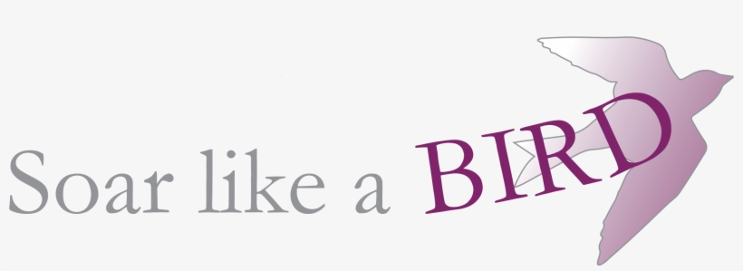 Page Heading Banner, transparent png download