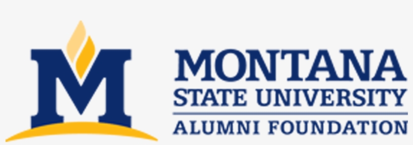Msu Af, transparent png download
