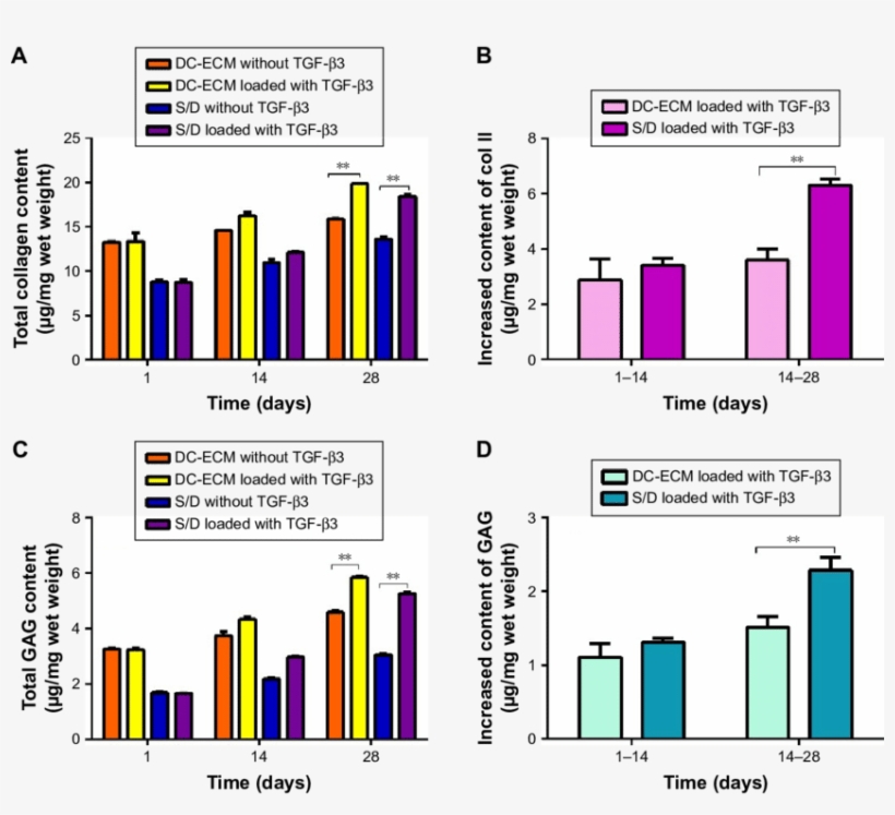 Quantitative Analysis Of Collagen And Gag Content In, transparent png download
