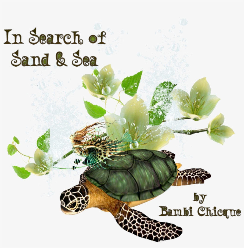In Search Of Sand And Sea Logo, transparent png download