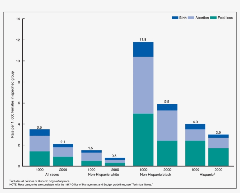 Pregnancy, Birth, Abortion And Fetal Loss Rates For, transparent png download