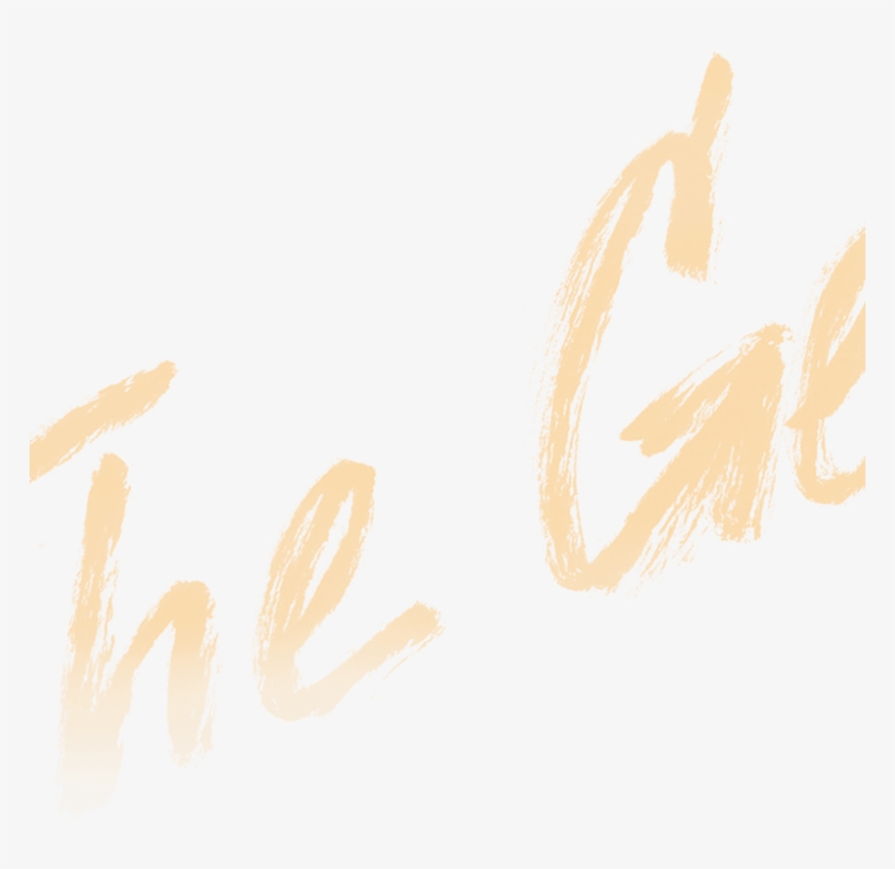 14-766x731, transparent png download