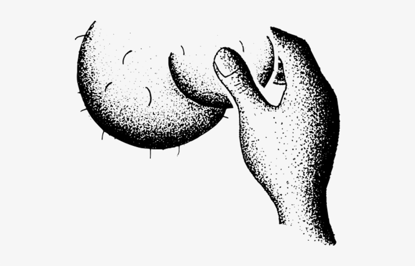 Testicles Png, transparent png download