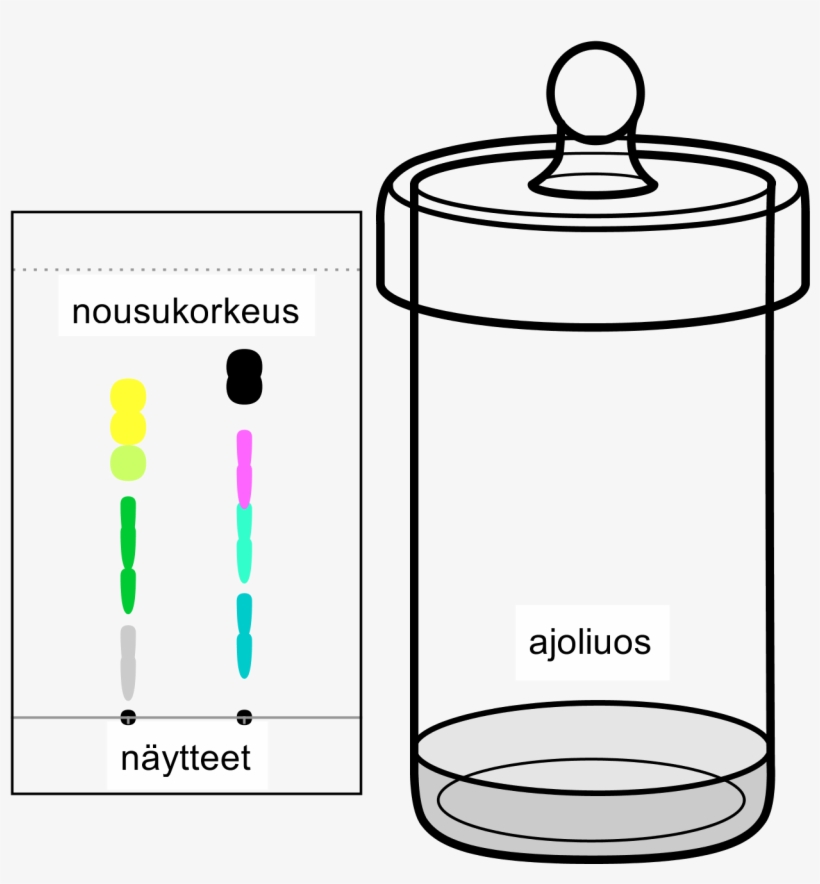 Tlc 69,8 Kt, transparent png download