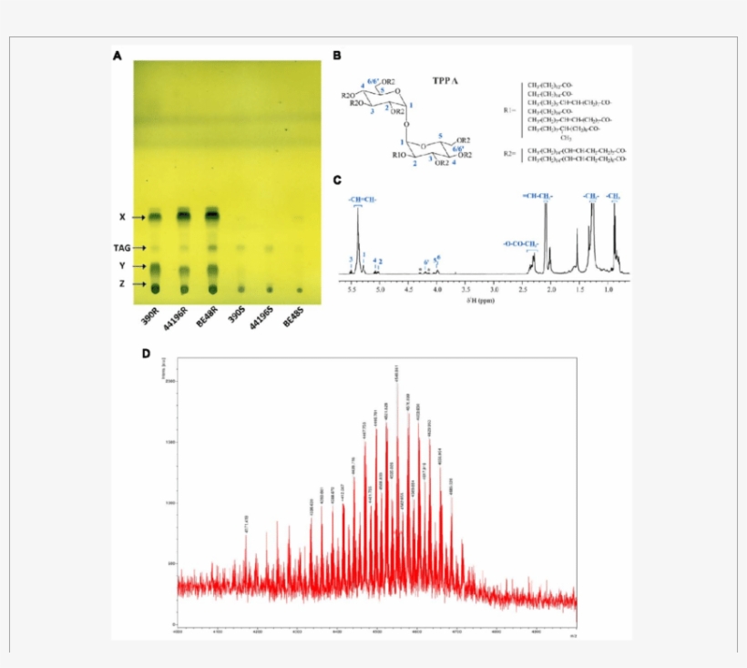 Detection And Characterization Of Compound X, transparent png download