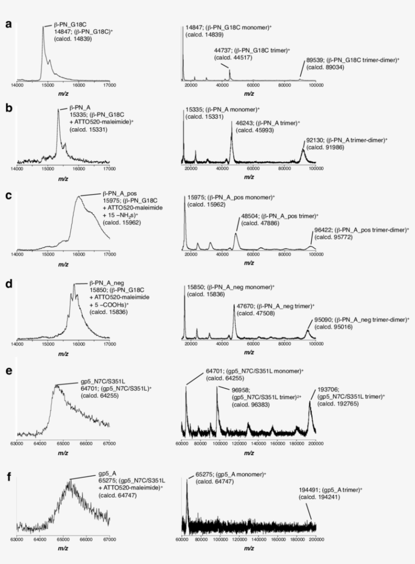 Maldi-tof Mass Spectra Of The Protein Needles, transparent png download