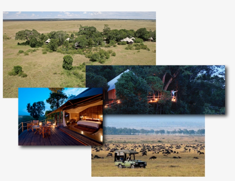 For Development Purposes Only, transparent png download