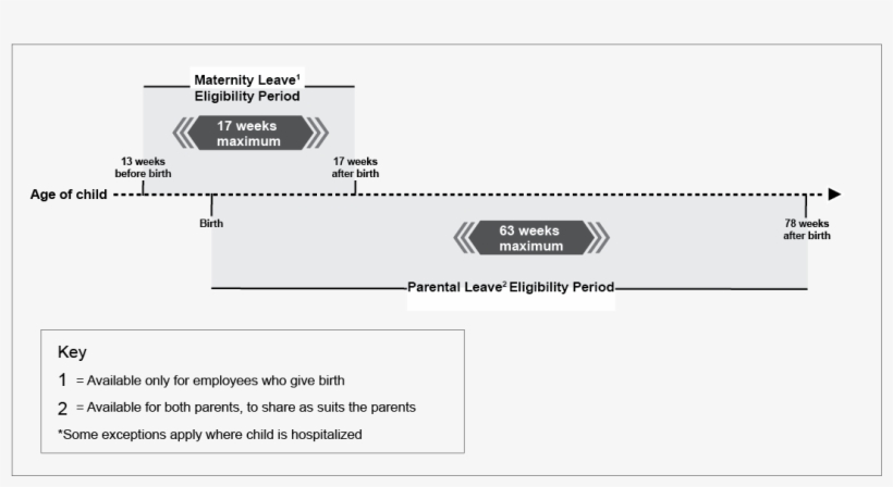 Chart Of Example For A Maternity And Parental Leaves, transparent png download