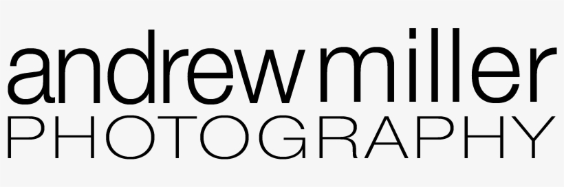 Logo2017, transparent png download