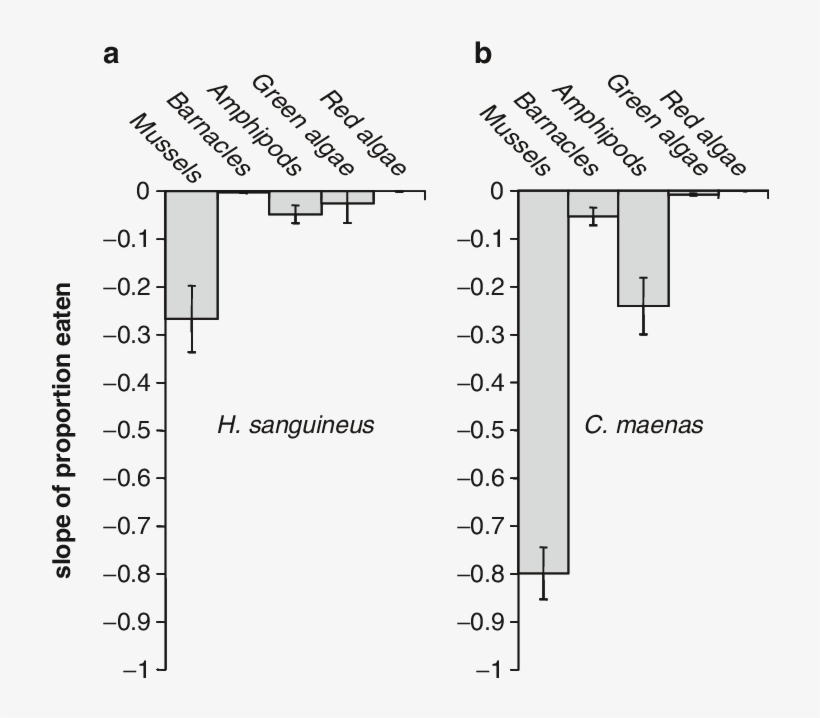 Prey Preference Of H, transparent png download
