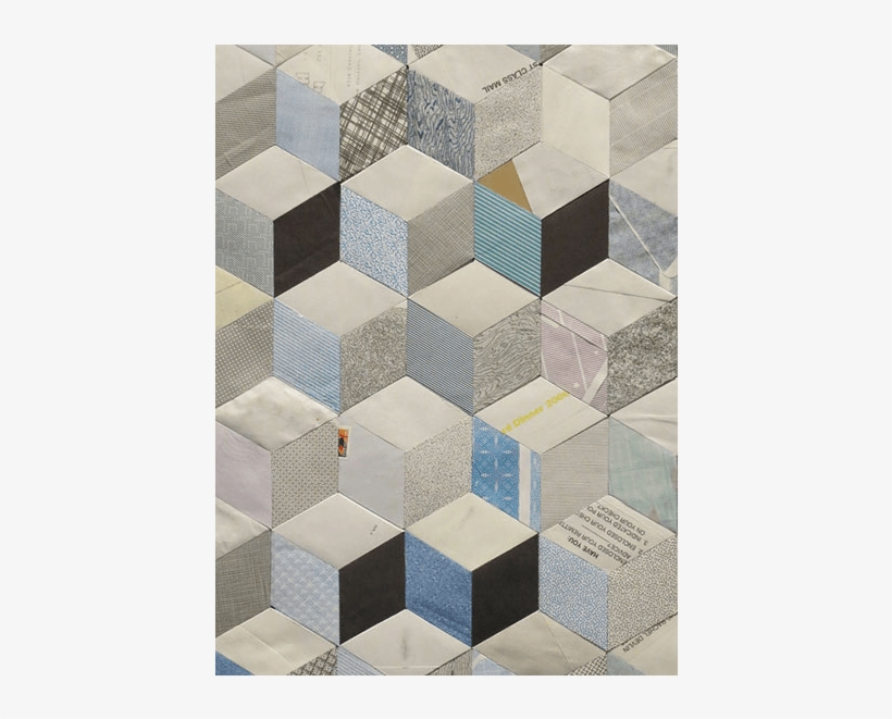 Cchorus Stephensollins, transparent png download