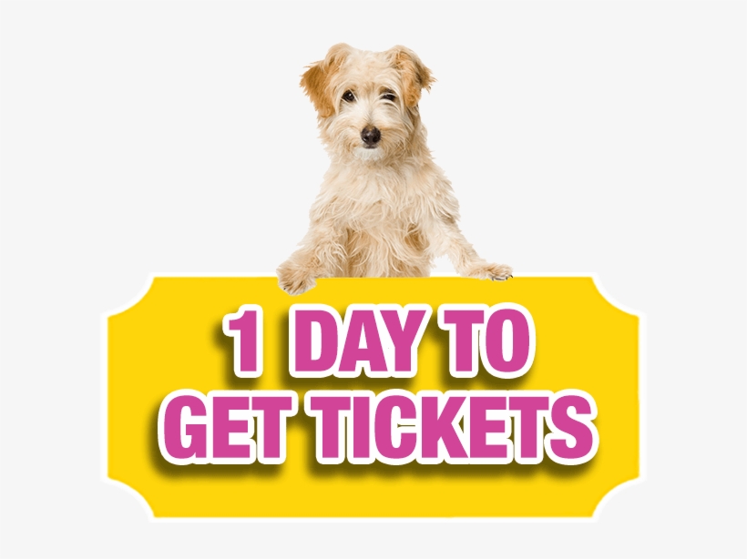 There's Only One Day Left To Buy Your Bc Spca Lottery, transparent png download