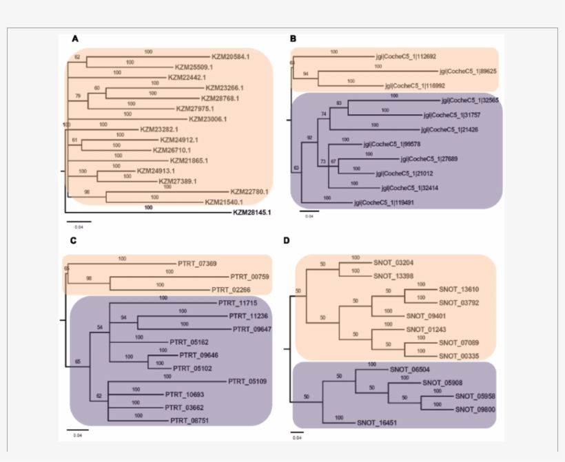 Download, transparent png download