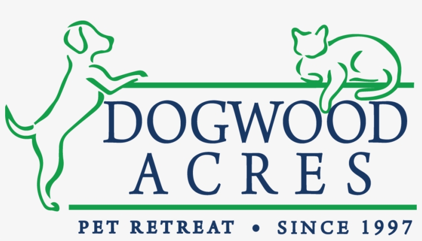 If You Have Any Questions, Please Email Erin Bogan, transparent png download