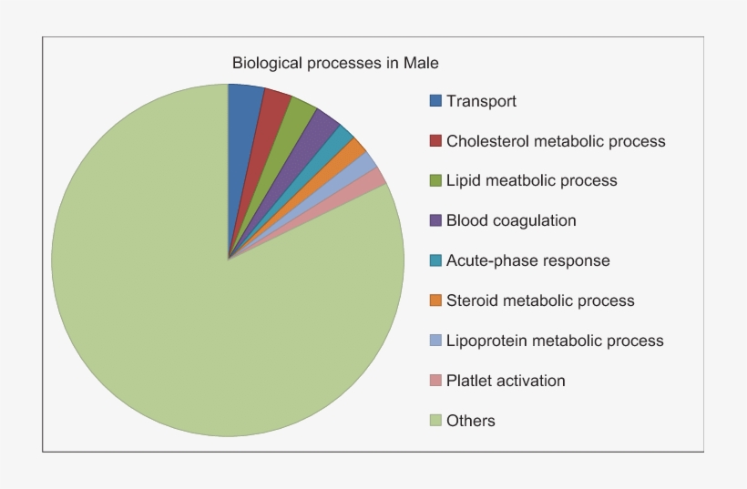 Enriched Biological Processes In Males During Lower, transparent png download