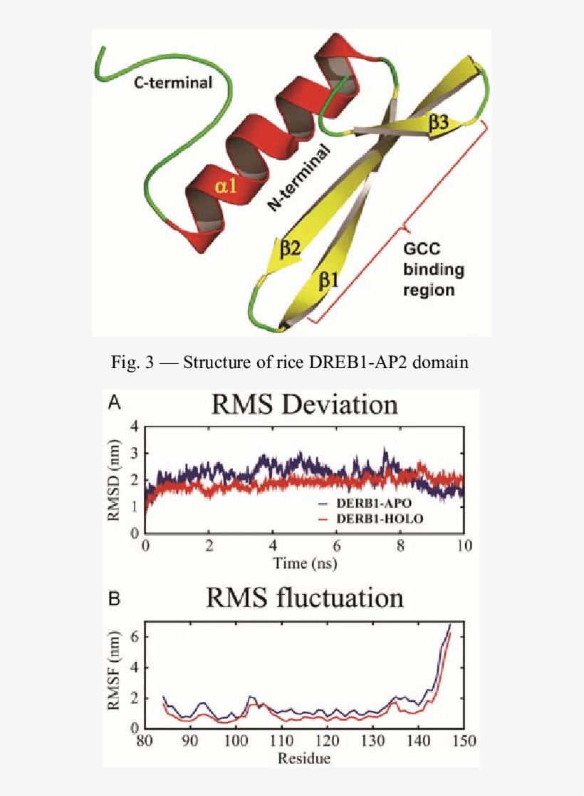 Stability Parameters Of Ap2 Domain In Apo As Well As, transparent png download