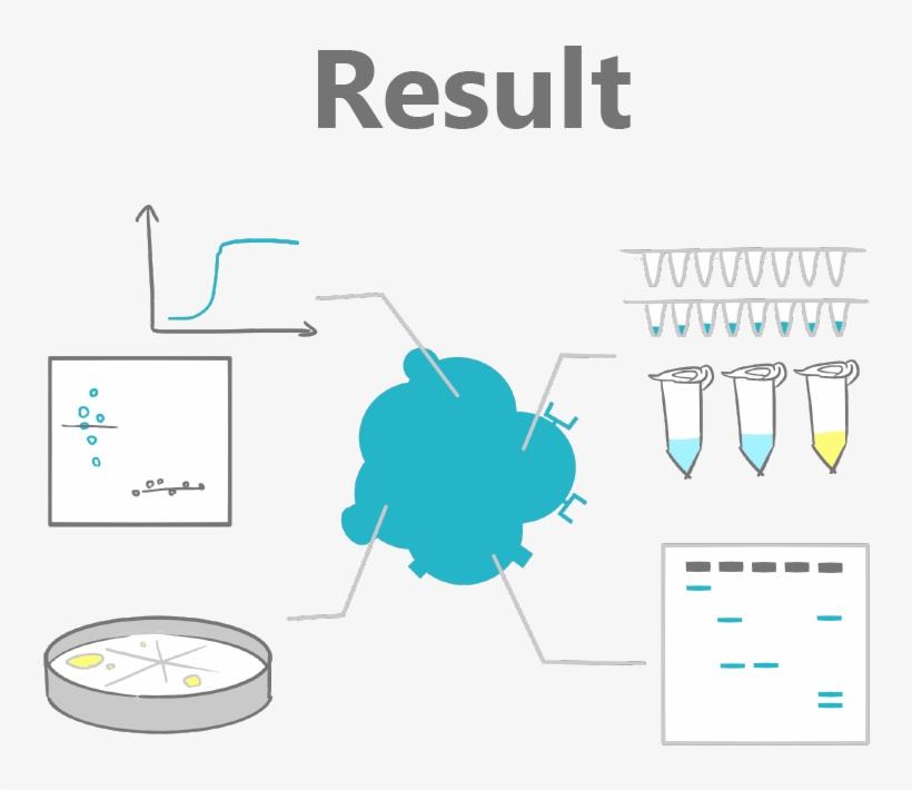 Result Png, transparent png download