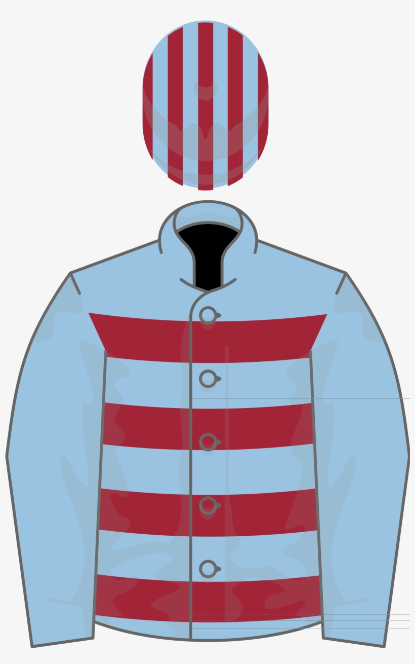 Owner Mr W Hennessy - Magnier Silks, transparent png download