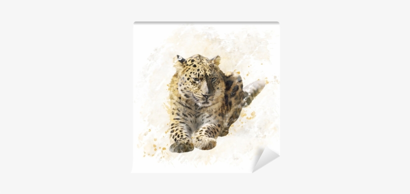 Art Print: Sunnys's Leopard Portrait Watercolor, 30x30cm., transparent png download