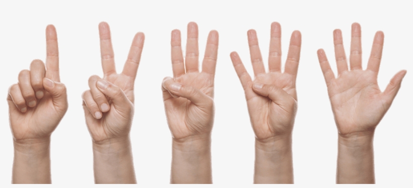 Get Finger Load20180523 Masha Point - Finger Counting No Background, transparent png download