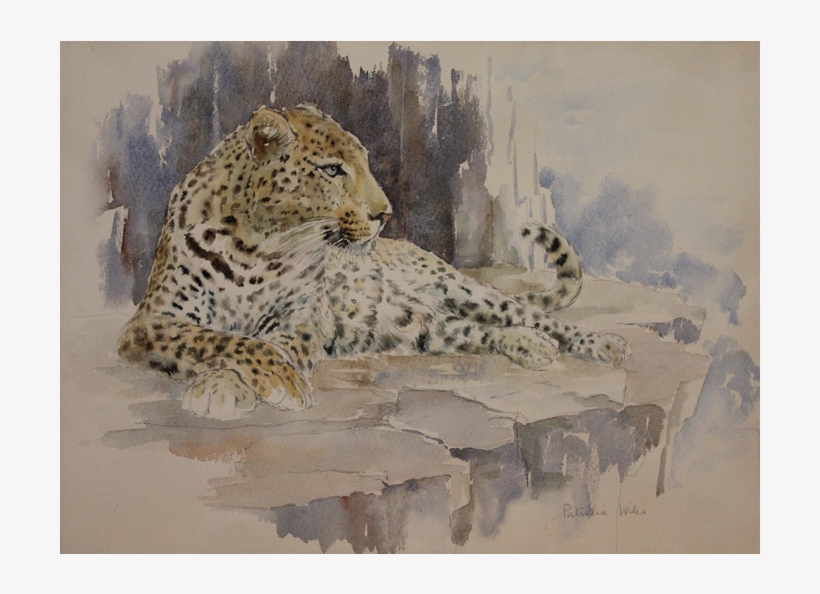Patricia Wiles - African Leopard, transparent png download