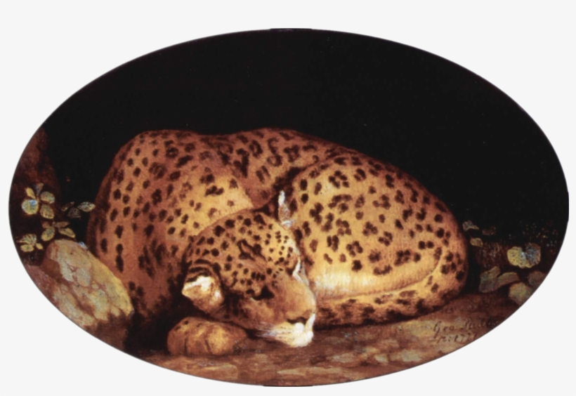 File - George Stubbs - Leopard - George Stubbs Leopard, transparent png download