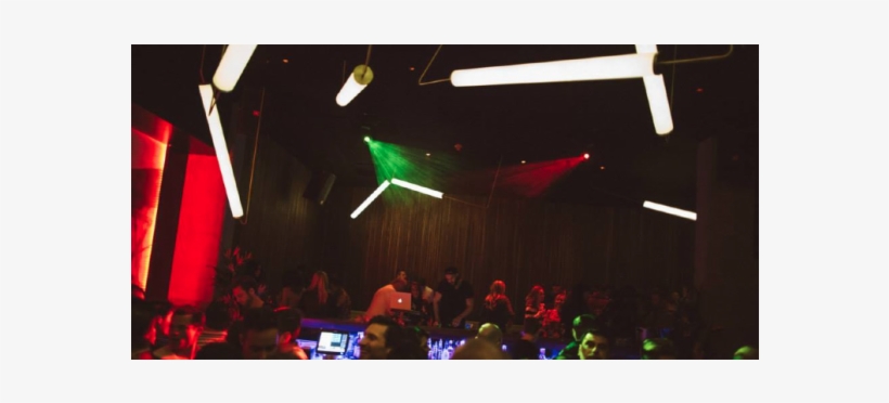 Wildflower Wildflower Wildflower Wildflower - Party, transparent png download