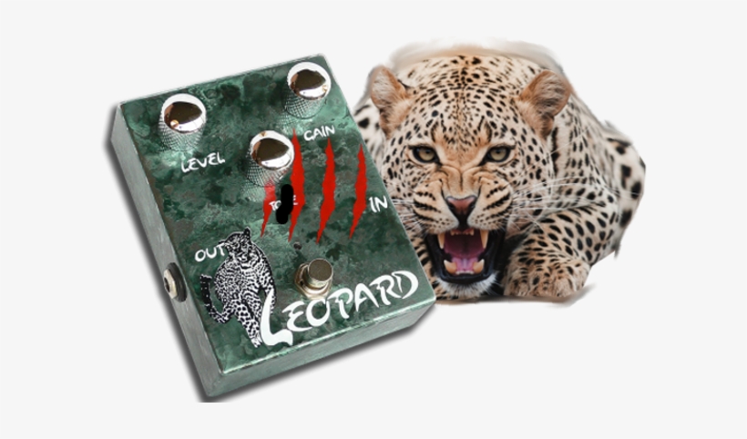 Leopard - Leopard Cheetah Art Large Doormat Neoprene Backing, transparent png download
