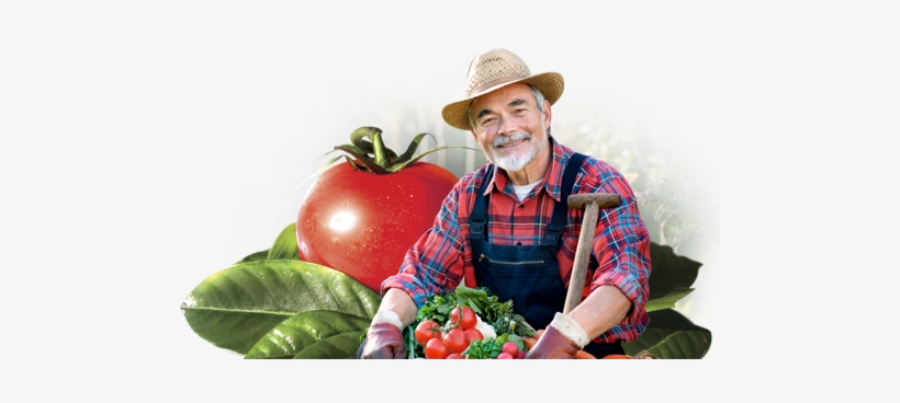 Farmer Png Image - Большая Книга Садовода И Огородника, transparent png download