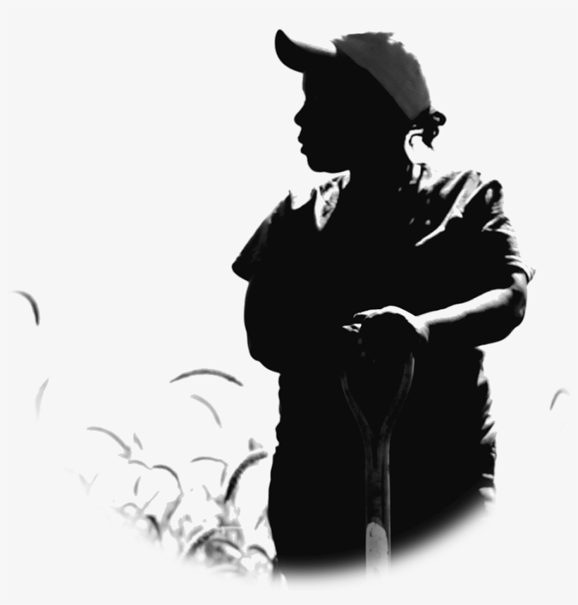 Less Losses And Improved Food Security - Farmer Silhouette, transparent png download