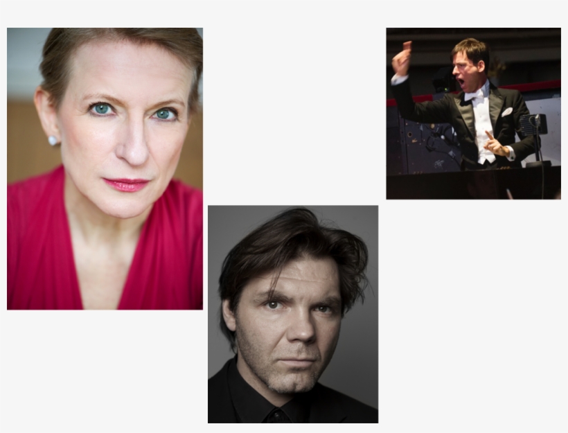 Concert, transparent png download