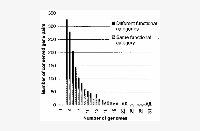 Representation Of Cogs Of The Same Functional Category - Document, transparent png download