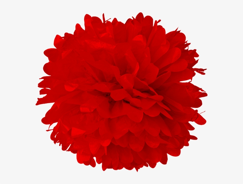 Red Tissue Pom Poms - Turquoise Blue 20 Inch Tissue Paper Flower Pom-pom, transparent png download
