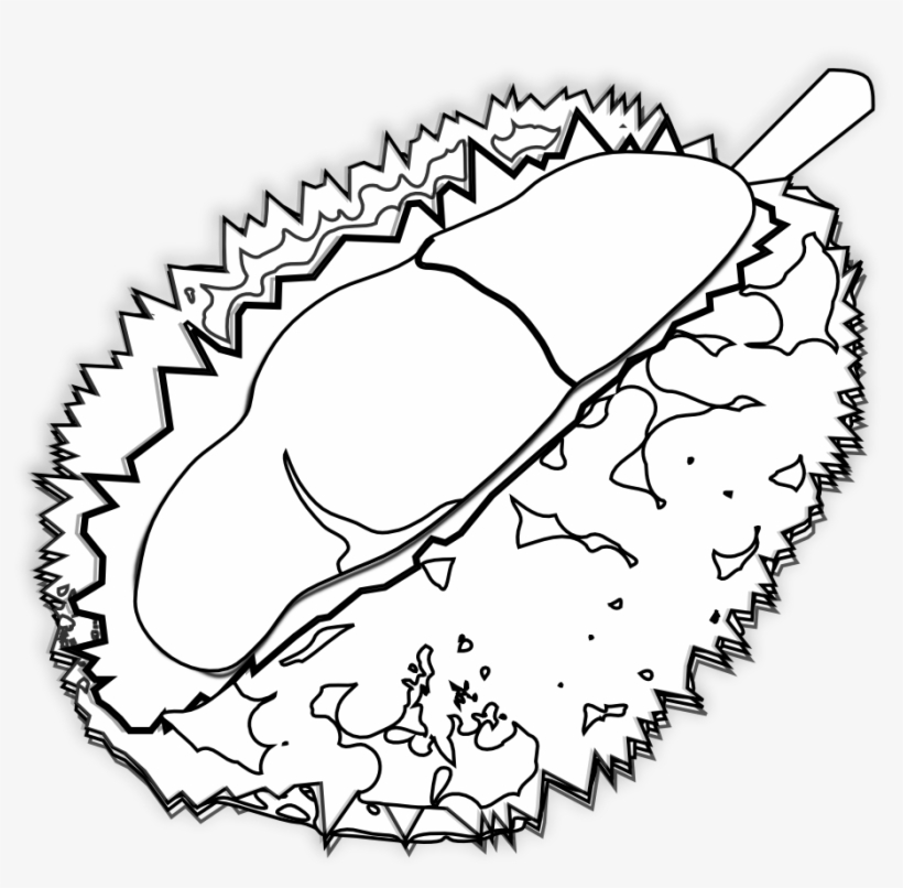 Food Durian Durian Black White Line Art 999px 385 - Durian Icon White Png, transparent png download