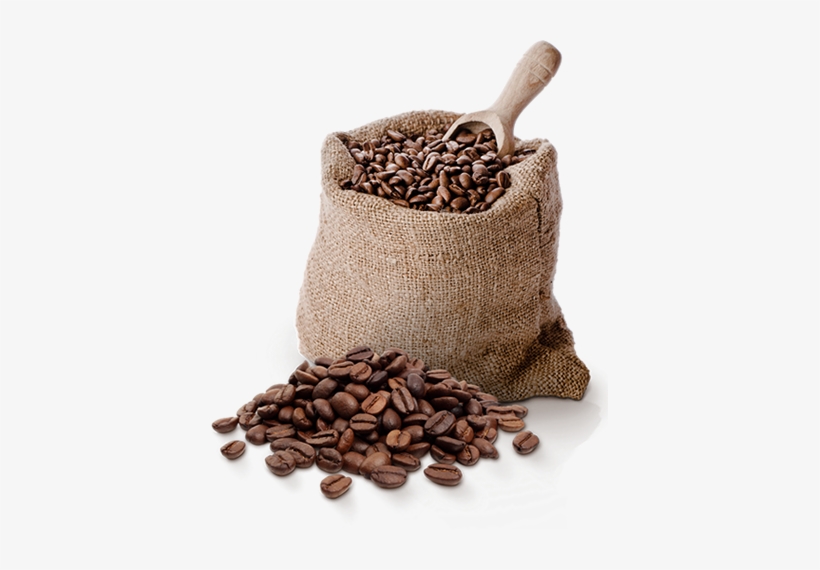 Transparent Coffee Bean, transparent png download
