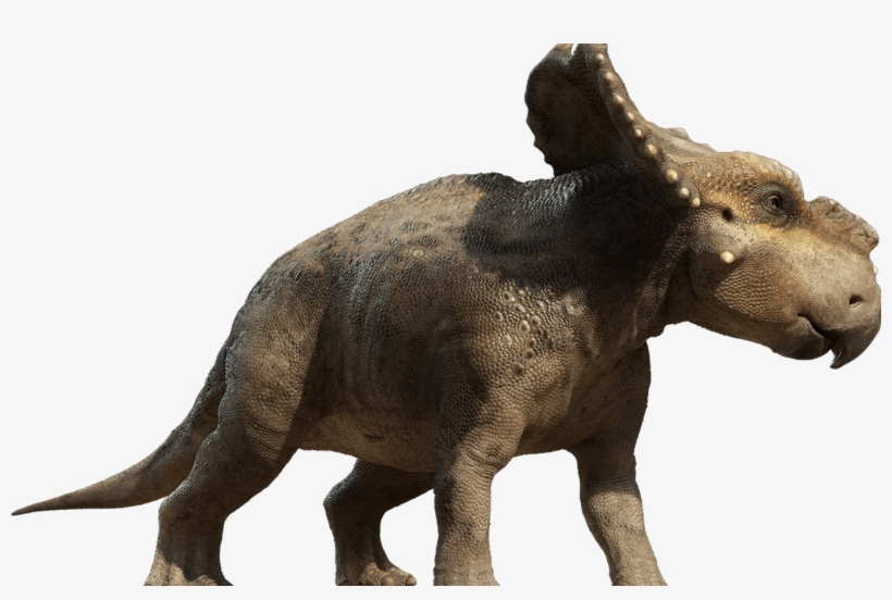 Dinosaur Png, transparent png download