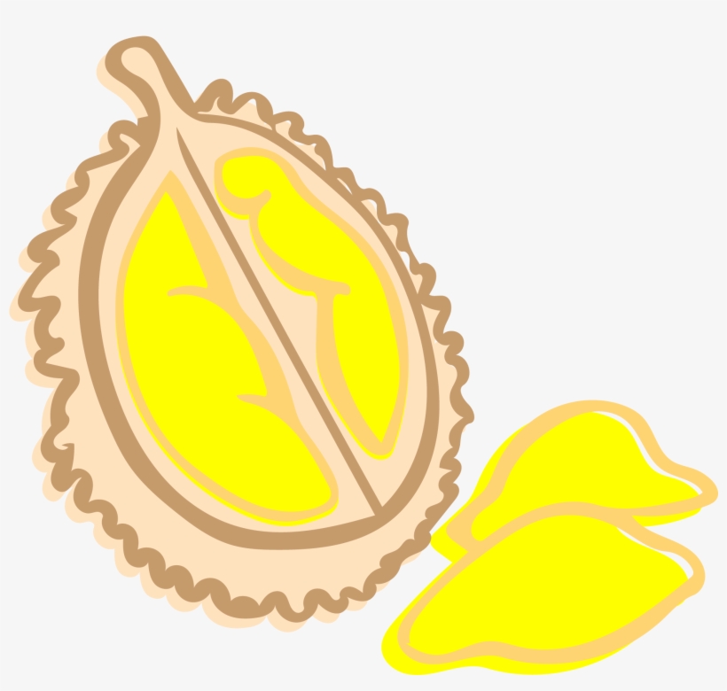 Durian - Illustration, transparent png download