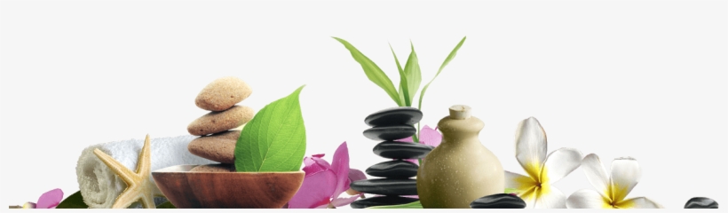 Home Spa Section Boxes Img - Lingonberry Shampoo & Body Wash, transparent png download