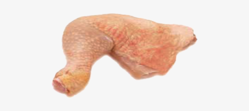 Chicken Leg - Leg Hen Pic Png, transparent png download